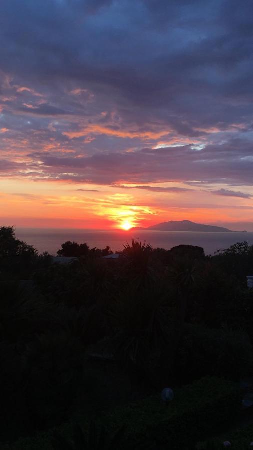 Villa Damecuta B&B Anacapri  Exteriör bild