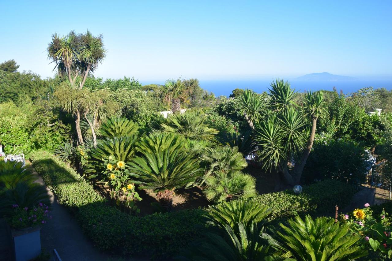 Villa Damecuta B&B Anacapri  Exteriör bild