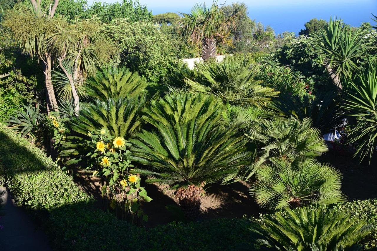 Villa Damecuta B&B Anacapri  Exteriör bild