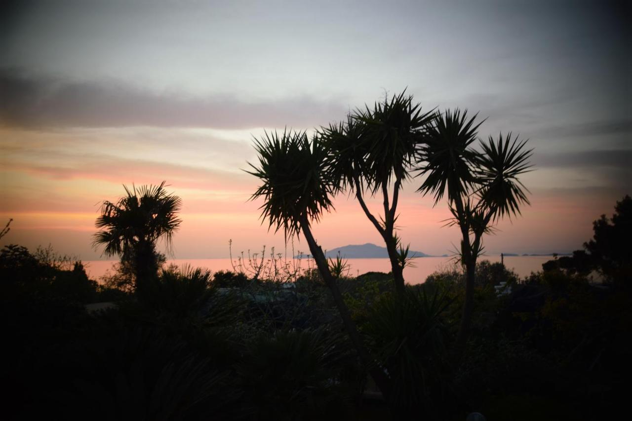 Villa Damecuta B&B Anacapri  Exteriör bild