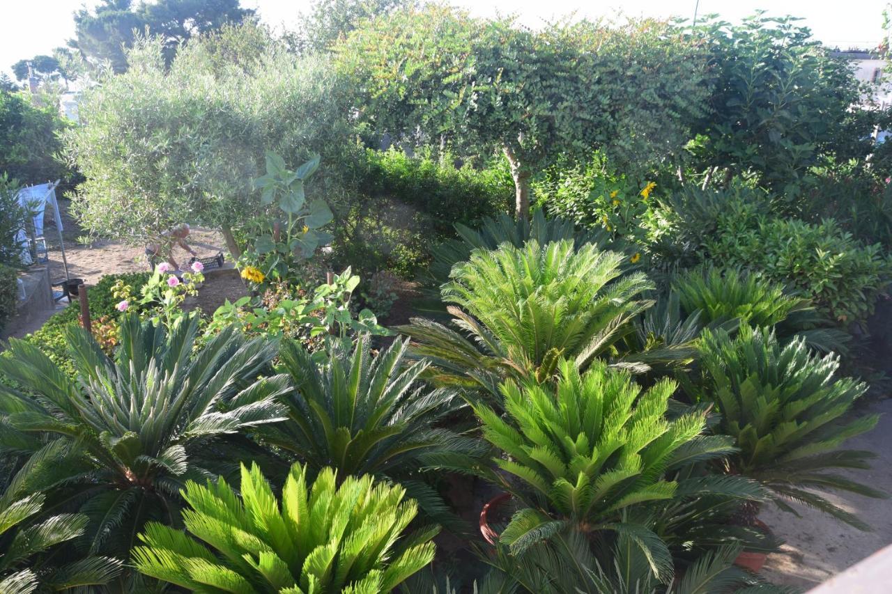 Villa Damecuta B&B Anacapri  Exteriör bild